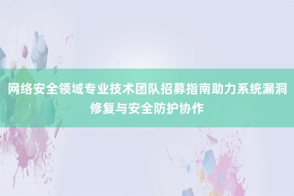 网络安全领域专业技术团队招募指南助力系统漏洞修复与安全防护协作
